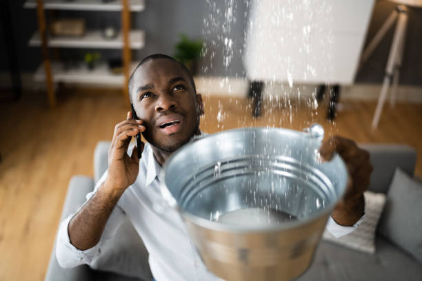 Best Sewage cleanup and water damage restoration  in Wayne, MI