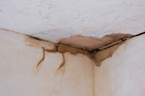 Best 24-hour water damage restoration  in Wayne, MI