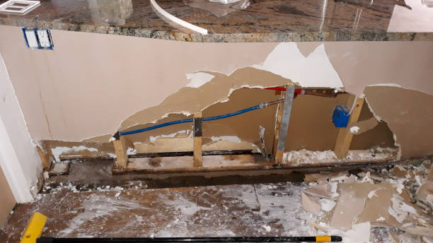 Best 24/7 water damage repair  in Wayne, MI