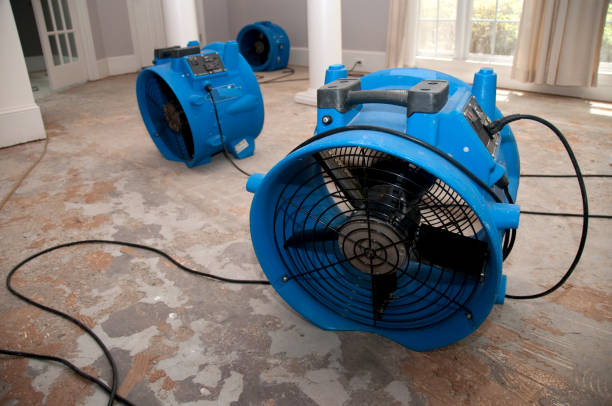 Best Emergency water damage restoration  in Wayne, MI