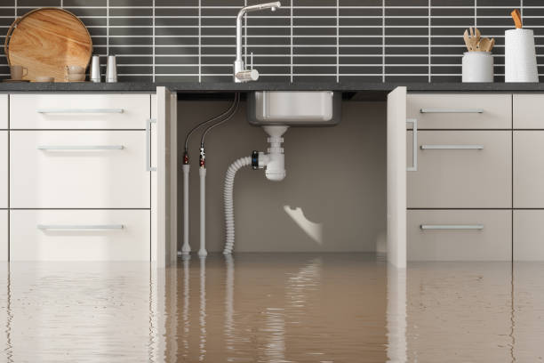 Best Water damage restoration near me  in Wayne, MI