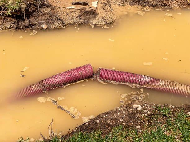 Best Water damage restoration insurance claims  in Wayne, MI