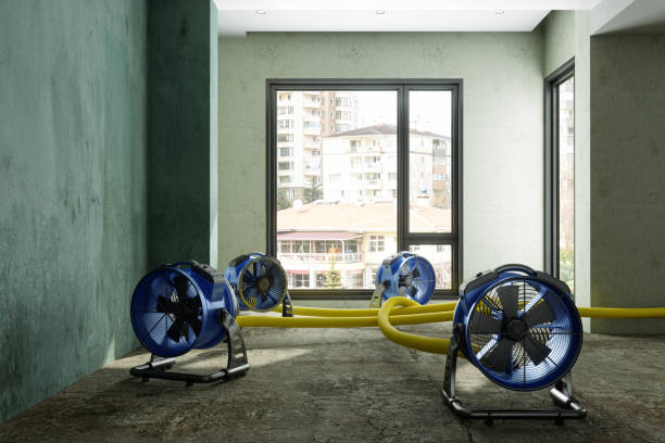 Best Professional water damage repair  in Wayne, MI
